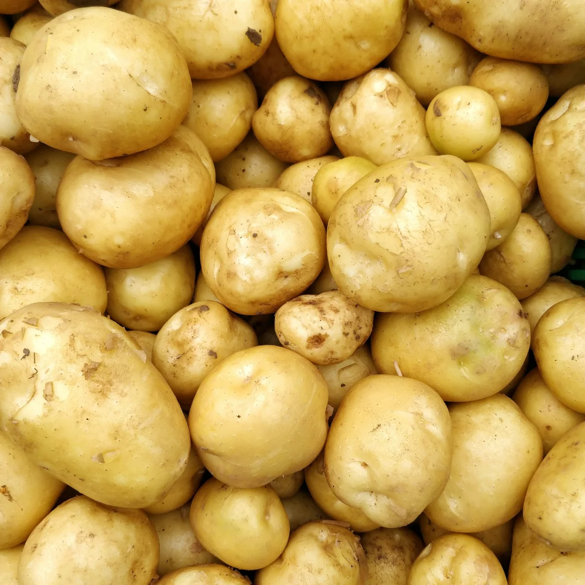 Luksusowa Potato Vodka - Image 4