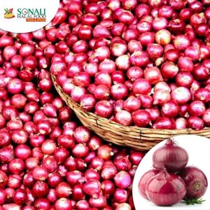 Onion (India)