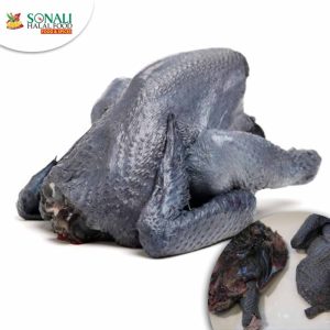 Silki Chicken, Black Chicken