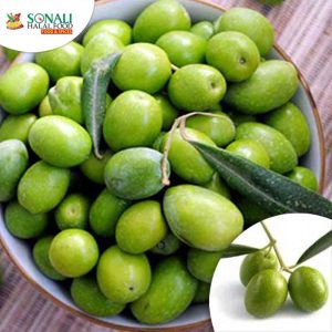 Green Olive, Kancha Jolpai, Frozen