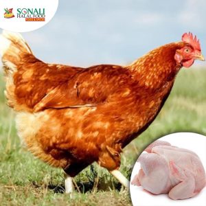 Chicken Hard Whole