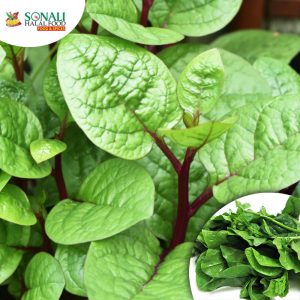 Pui-Foi-Shag (Fresh Malabar Spinach)