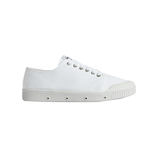 G2 CANVAS