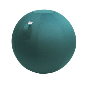 Ergonomic Chair