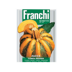 Pumpkin Padana
